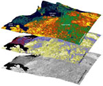 invasice species map