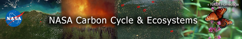 Carbon Cycle & Ecosystems