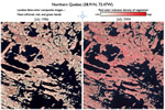 Comparison of area in Northern Quebec showing increased vegetation between 1986 and 2004.