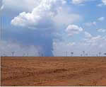deforestation