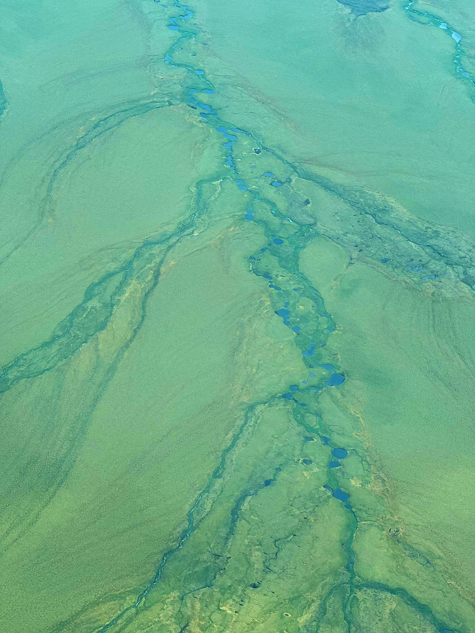 July 2025 Field Operations