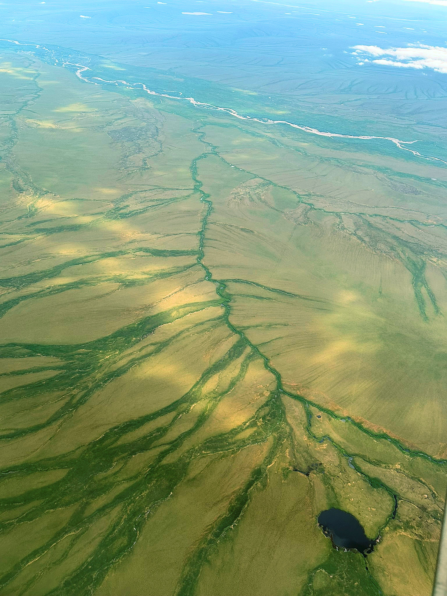 July 2025 Field Operations