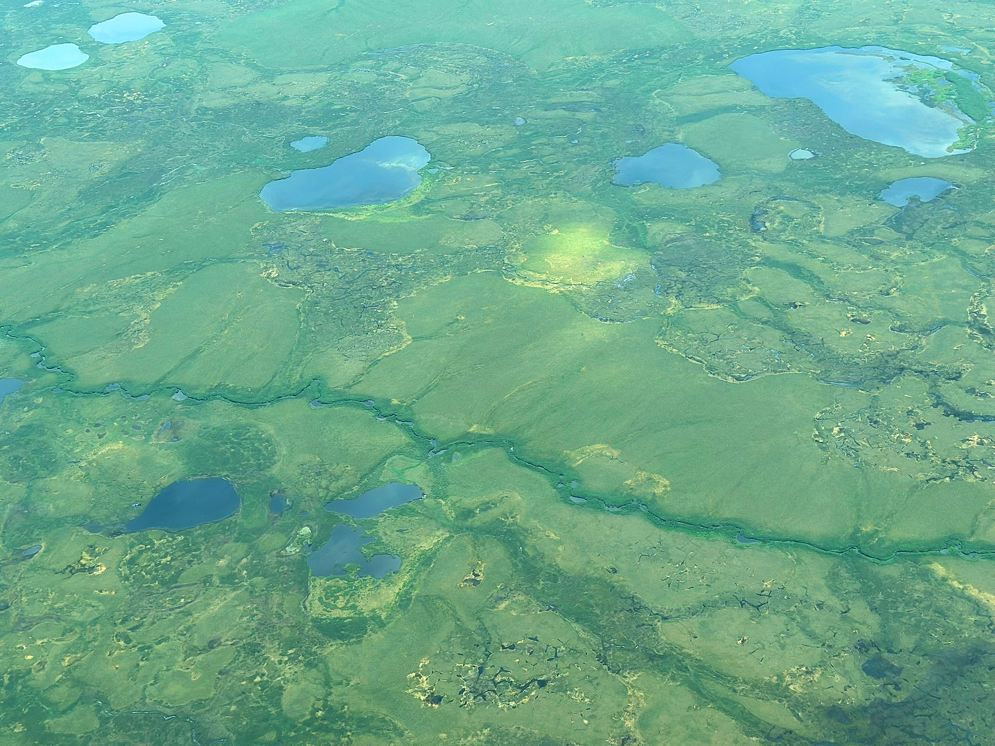 July 2025 Field Operations