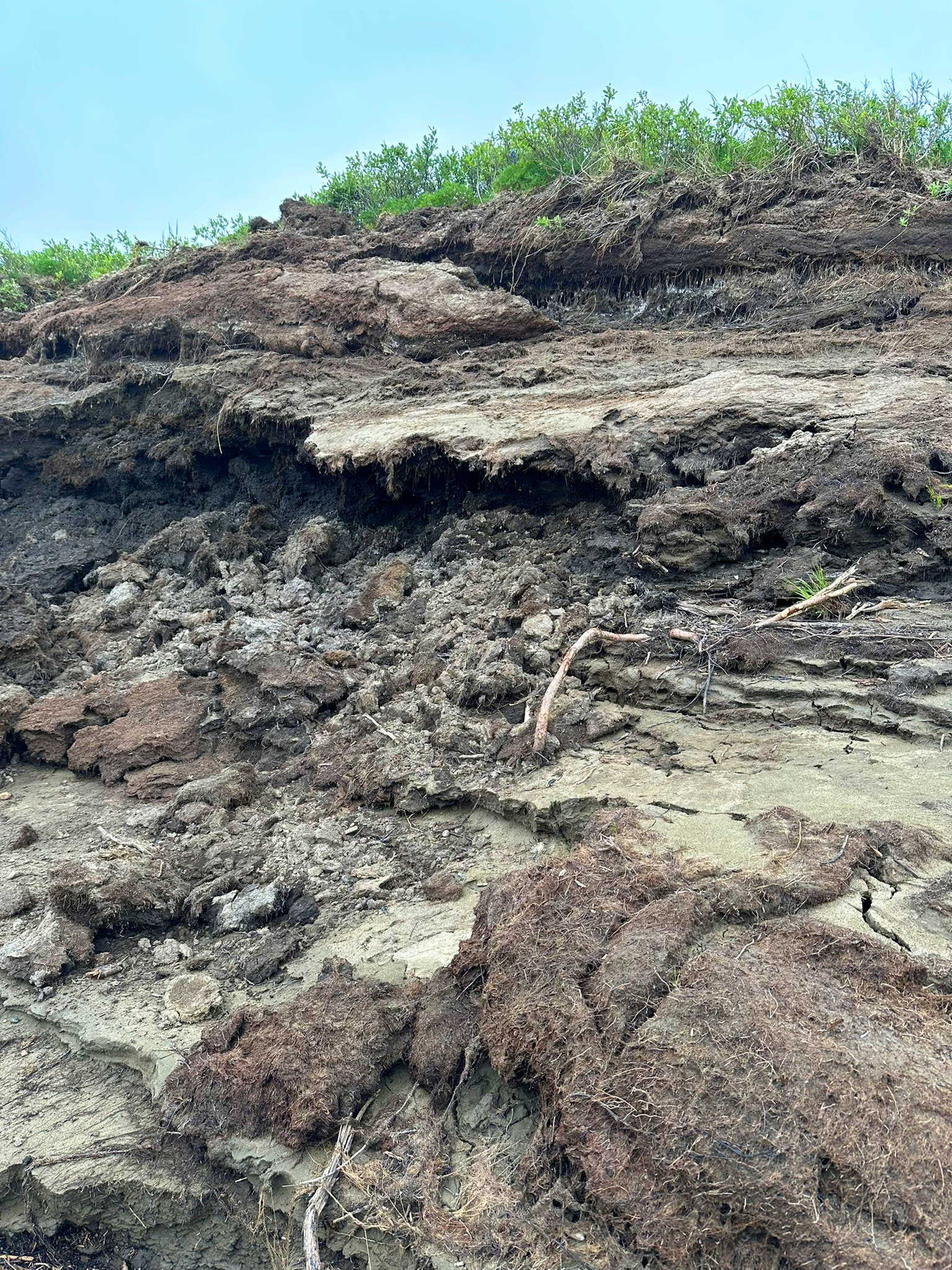 July 2025 Field Operations