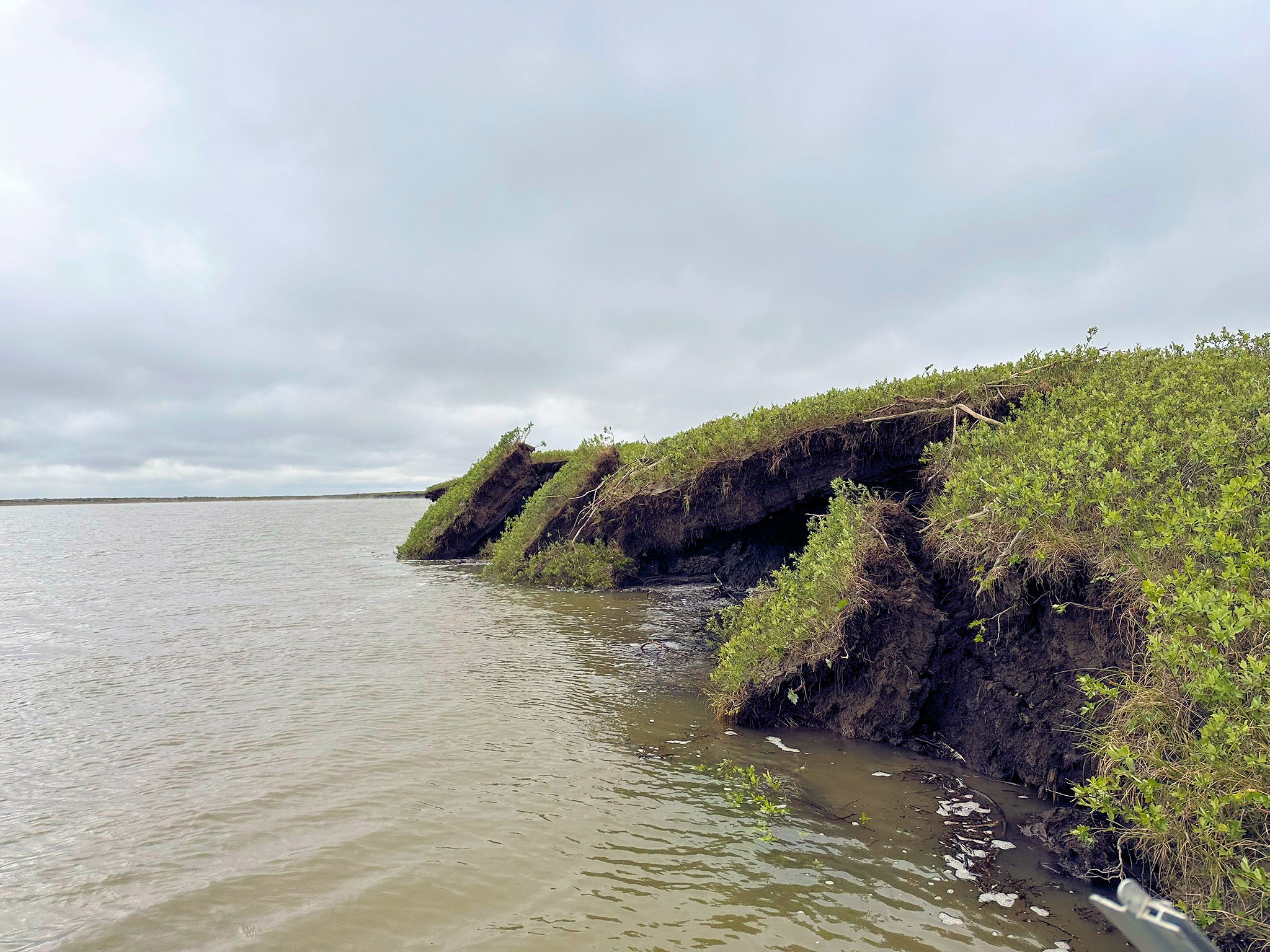 July 2025 Field Operations