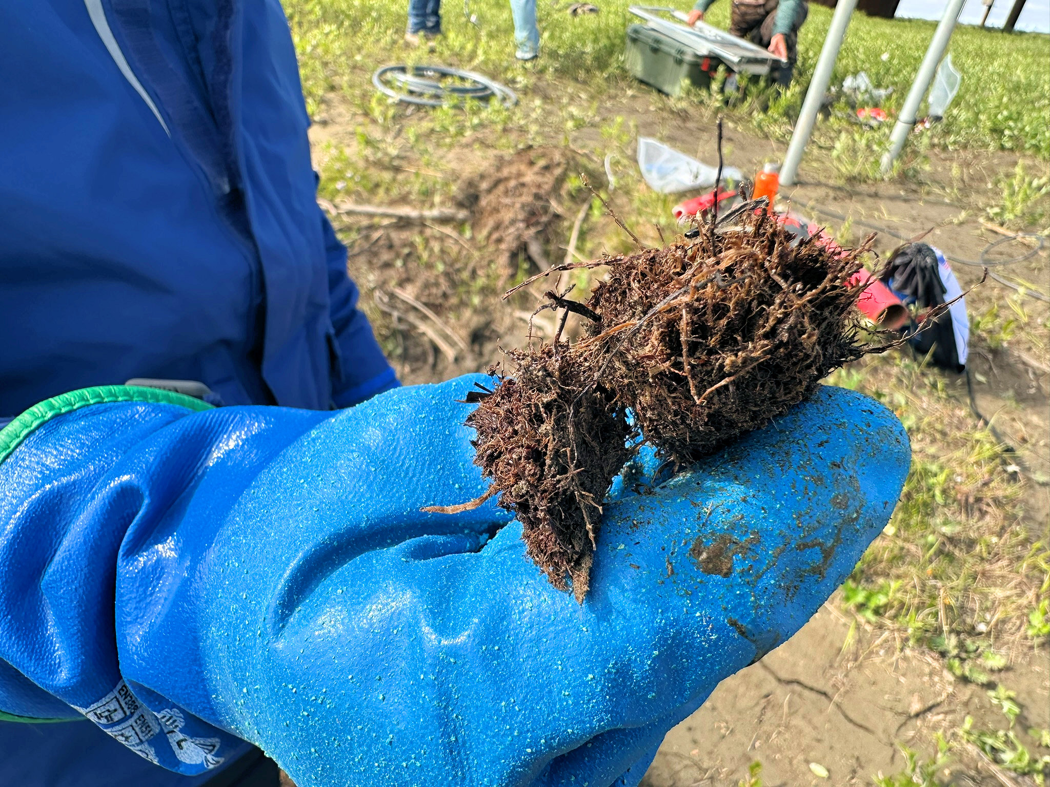 July 2025 Field Operations