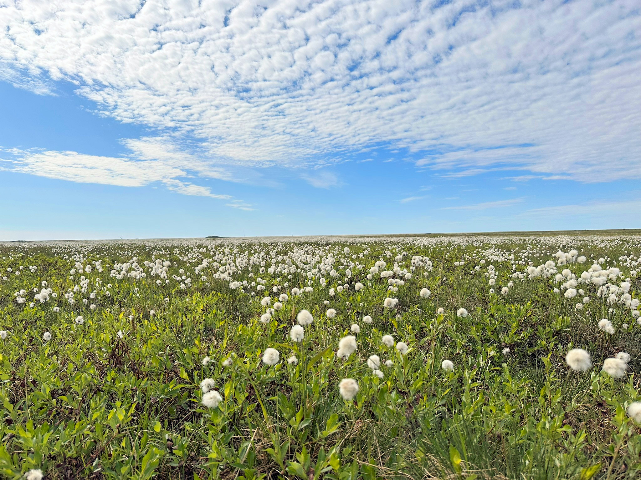 July 2025 Field Operations
