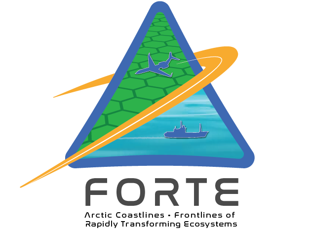 FORTE Logo